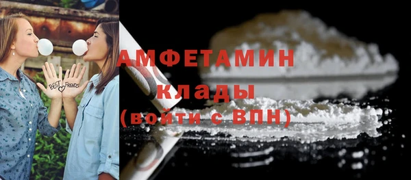 гидра Алексин