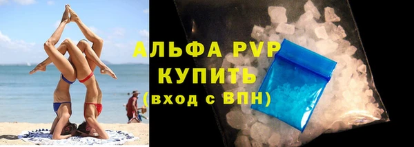 гидра Алексин