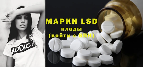 ГАЛЛЮЦИНОГЕННЫЕ ГРИБЫ Алзамай