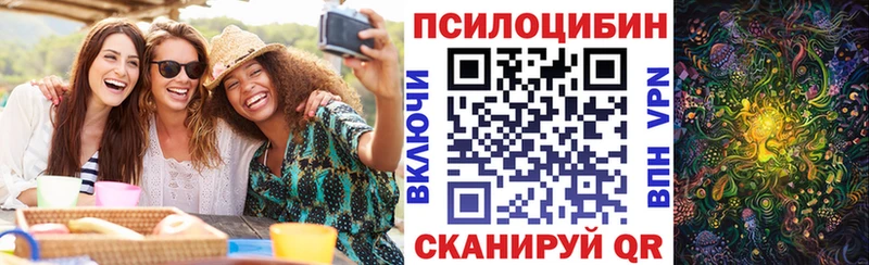 хочу   Сургут  Галлюциногенные грибы GOLDEN TEACHER 